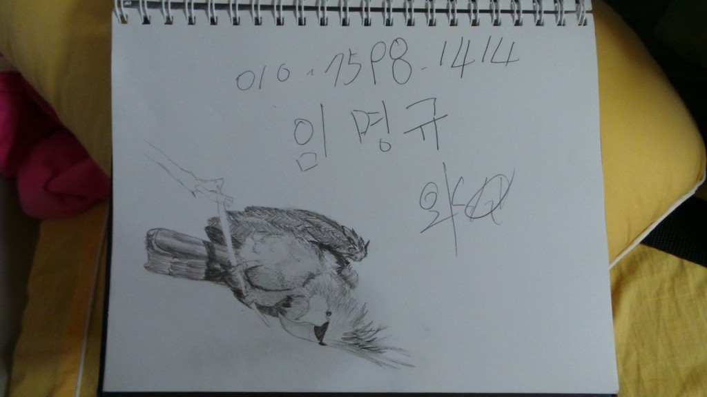 the page from my sketchbook with the old man's phone number